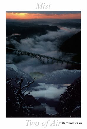 Nature Tarot by Jan Strube